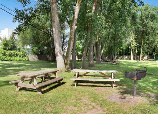 Picnic Area