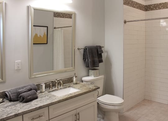 Modern Bathroom Fittings at Residences at Halle, Cleveland, OH