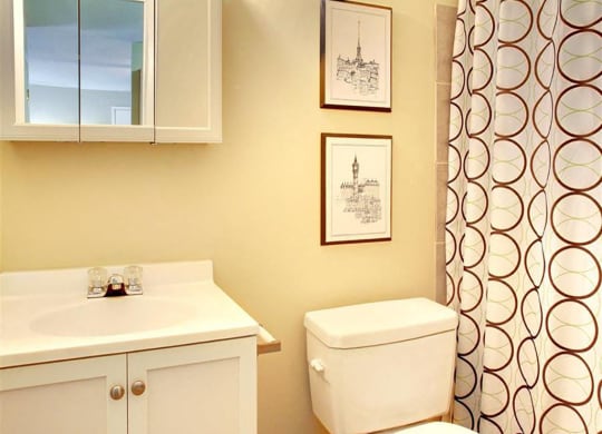 Model Bathroom at Lakeland Terrace in Euclid, OH