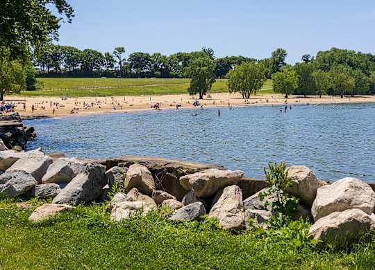 A beach scene with people swimming and a rocky shore.