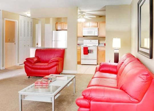 P1 Standard Model Living Room at Reserve Square, Cleveland, OH 44114