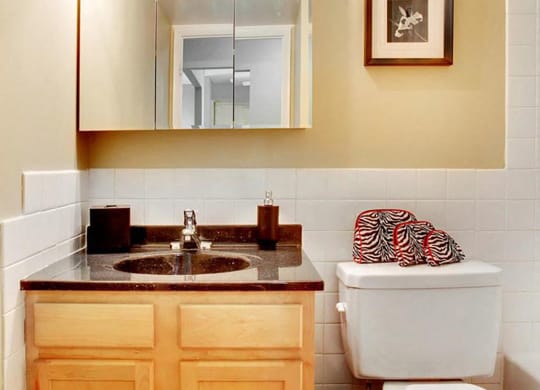 P1 Standard Model Bathroom at Reserve Square, Ohio, 44114