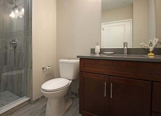 Master Bathroom at The Terminal Tower Residences Apartments, Cleveland, OH