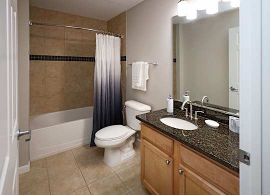 A bathroom with a toilet, sink, and shower.