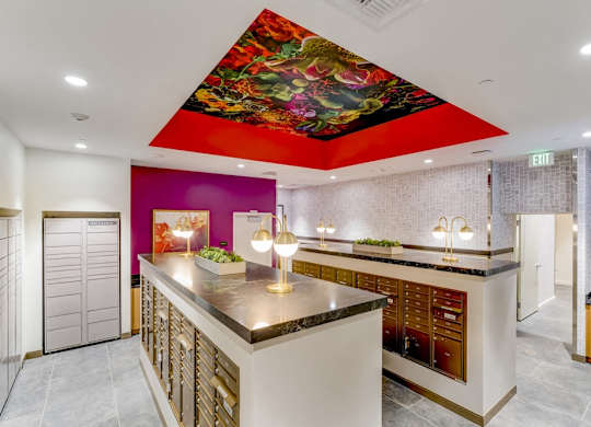 A kitchen with a purple wall and a mural of a flower on the ceiling.