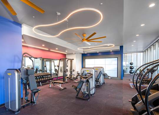 A gym with a variety of equipment including treadmills, weights, and a fan.