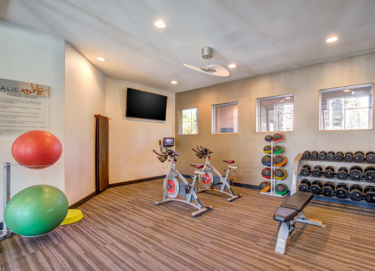 Fitness center with bikes and free weights