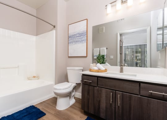 the preserve at ballantyne commons apartment bathroom with tub and toilet