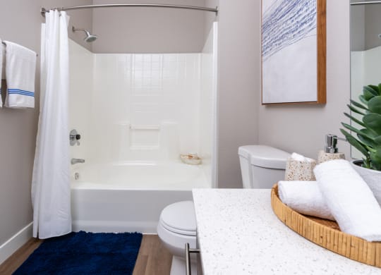a bathroom with a tub and a toilet and a sink