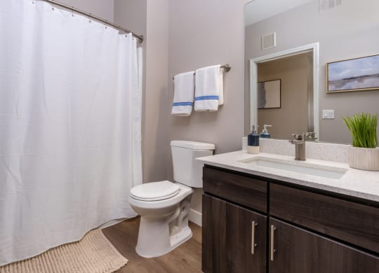 a bathroom with a toilet and a sink and a shower