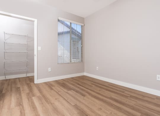 Two-Bedroom Apartments in Spring Valley, NV - Alicante - Bedroom with Spacious Closet, Wood-Style Flooring, and Natural Lighting