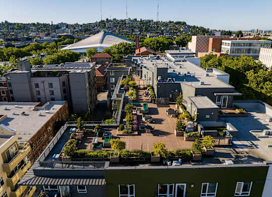 Rooftop garden terrace with planter boxes and seating at Axis Seattle Apartments, Seattle, Washington