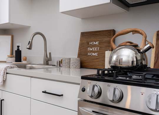 Detail shot of stove and kitchen sink