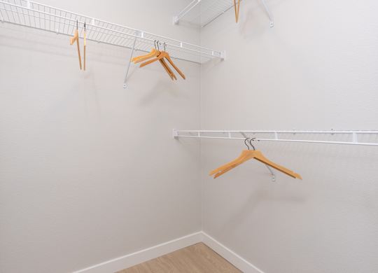 Three hangers are hanging on a white wall.