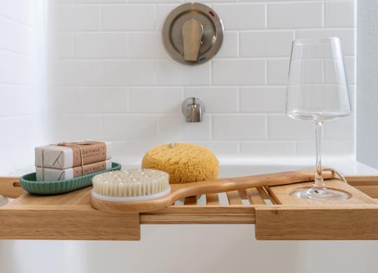 Bathtub was body brush