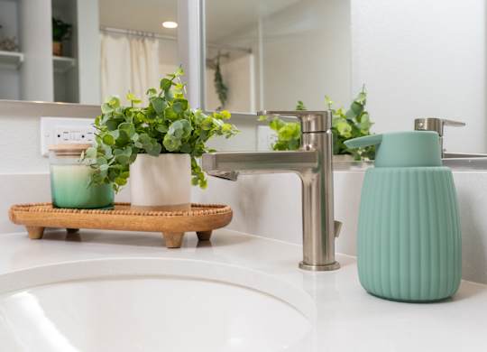 Bathroom sink details