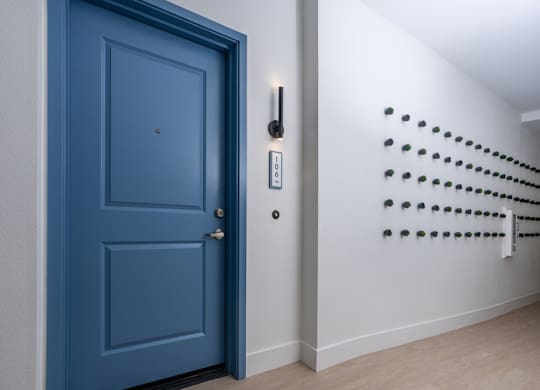 A blue door with a white wall