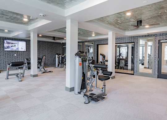 Two-Bedroom Luxury Apartments In Burlingame, CA - Bayswater Burlingame - A Bright Fitness Center With Hoist Strength Training Machines, Grey Patterned Wallpaper, And Industrial Concrete Ceilings