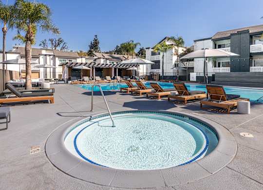 A round swimming pool surrounded by sun loungers and umbrellas at Verandas Apartments, California, 91791
