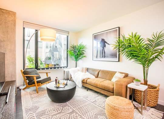 A living room with a brown couch, a coffee table, and a large window.at The Rise, San Francisco California  