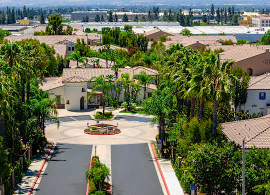 A view of a residential area with houses and palm trees.
