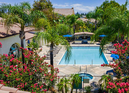 A pool surrounded by palm trees and flowers.