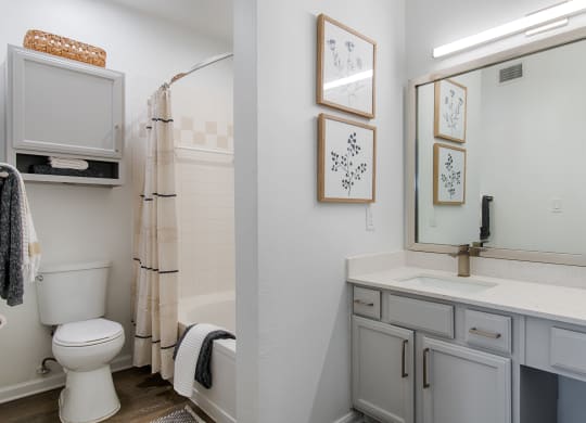 Designer Bathroom Suites at Silverado, Frisco, TX, Texas