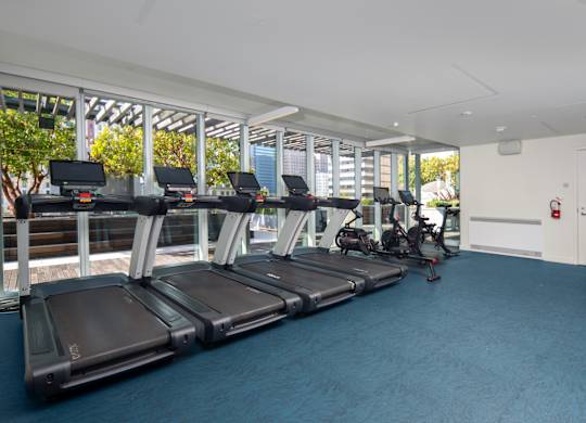 A gym with treadmills and exercise balls.
