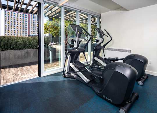 A treadmill and a stationary bike are in a room with a view of a city.