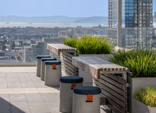 A row of concrete planters with greenery in the foreground and a cityscape in the background.
