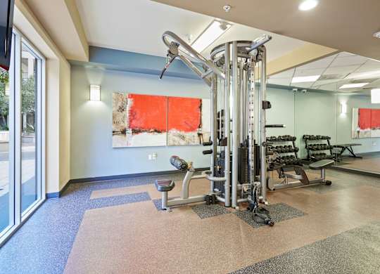 A gym with a variety of equipment including a treadmill, weights, and a bench.at 6940 Sepulveda, Van Nuys, CA  