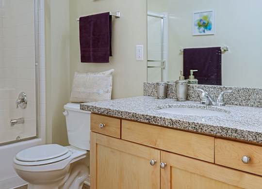 Luxurious Bathroom at 6940 Sepulveda, California