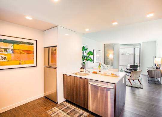 A modern kitchen with a stainless steel dishwasher and a painting on the wall.at The Rise, San Francisco, CA 94103  