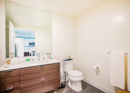 Luxurious Bathroom at The Rise, San Francisco, CA 94103  