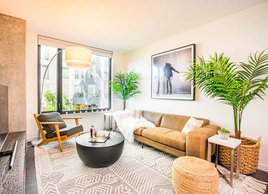 A living room with a brown couch, a coffee table, and a large window.at The Rise, San Francisco, CA  