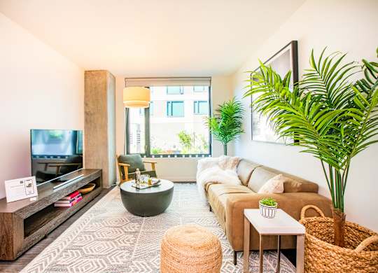 A living room with a brown couch, a television, and a large plant.at The Rise, California, 94103