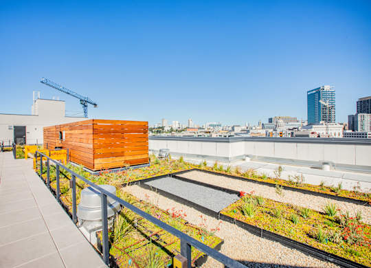 A rooftop garden with a wooden structure and a metal railing.at The Rise, San Francisco, CA 94103  
