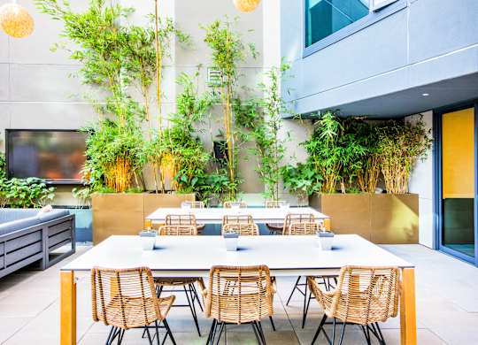 A table with chairs and plants in a modern outdoor setting.at The Rise, San Francisco  