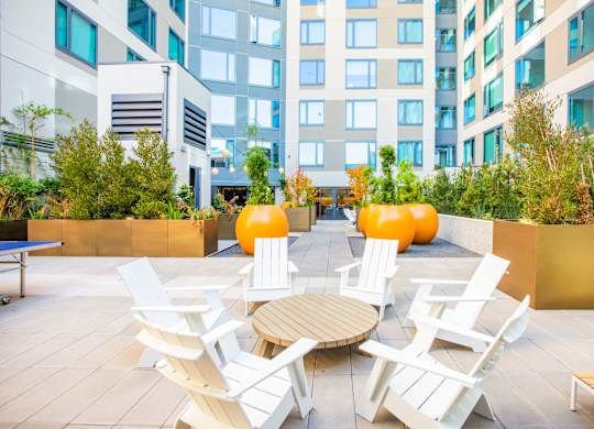 A patio with white chairs and a table surrounded by plants.at The Rise, San Francisco California  
