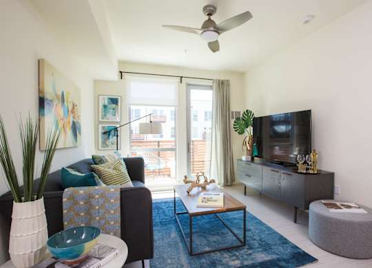 Living room with