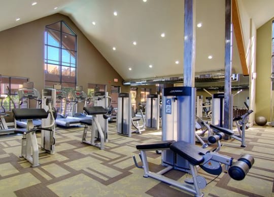 a gym with a lot of machines and weights at Vaseo Apartments, Phoenix Arizona