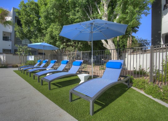 a row of lounge chairs and umbrellas on the grass at Vaseo Apartments, Phoenix, AZ 85022