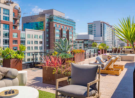 A patio with chairs and plants on a sunny day.