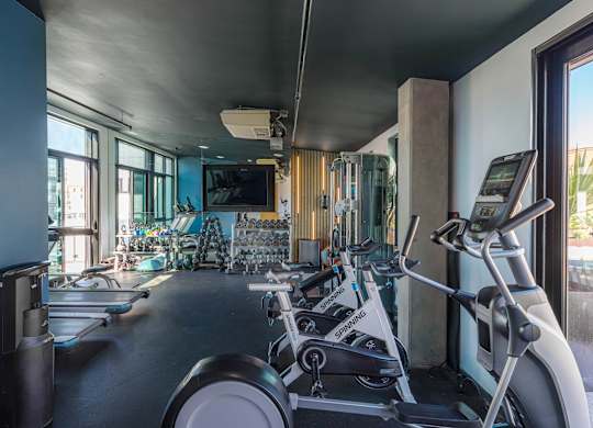 A gym with treadmills and exercise equipment.