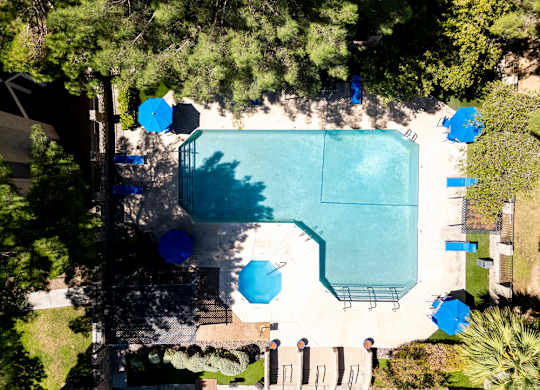 An aerial view of a pool surrounded by trees and lounge chairs.
