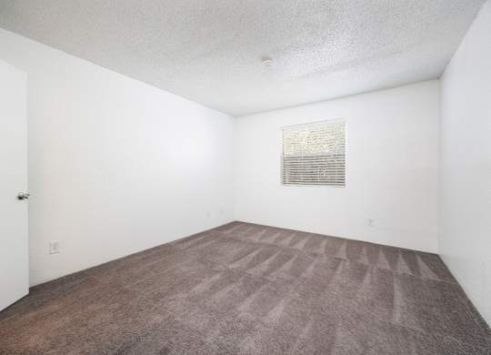A room with a carpeted floor and a picture on the wall.