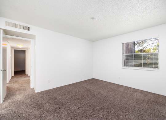 A room with a carpeted floor and a window with blinds.