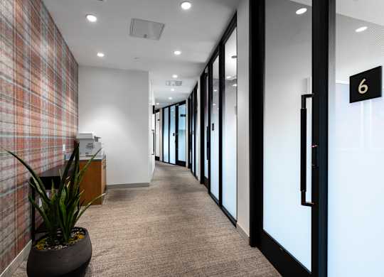 A hallway with a plaid wallpapered wall and a potted plant.