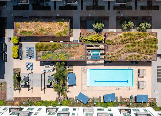 A swimming pool surrounded by greenery and trees.