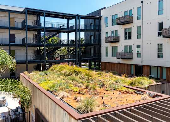A green roof on a building with a white building in the background.